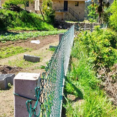 Tatil Evi Quinta Da Eira *