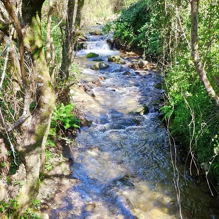 Quinta Da Eira Sever do Vouga