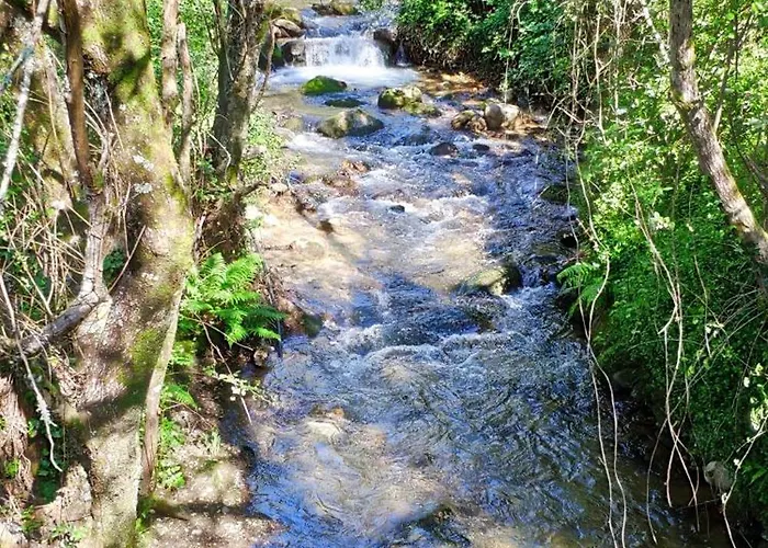 Quinta Da Eira Sever do Vouga